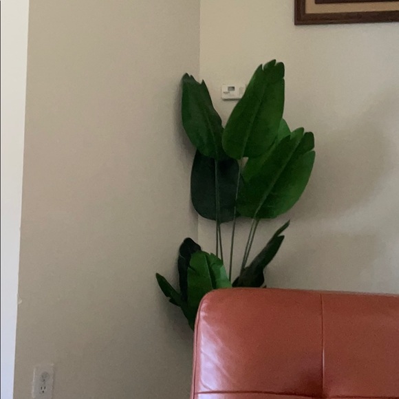 Meet your Posher, Muhammad - Picture 1 of 1